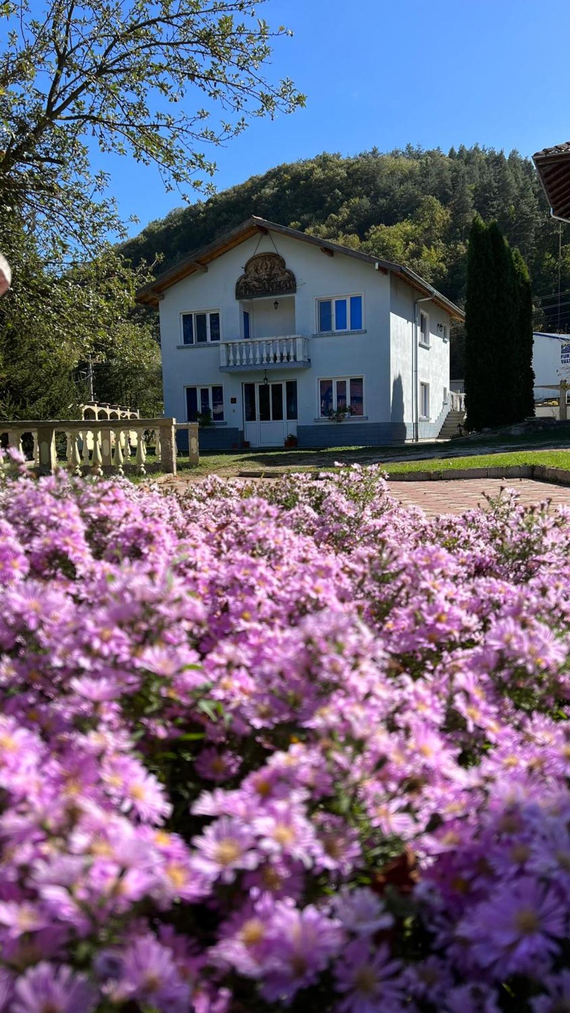 Vacation Home Yoanna Triawna Zewnętrze zdjęcie